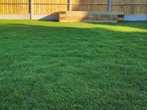 How to repair a damaged garden lawn