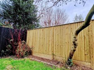 Photo of Jacksons Fencing Featherboard Panel installed in a mature garden in Kingston Upon Thames