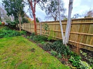 Image of Jacksons Fencing Featherboard Fence installed in Wimbledon SW19 viewing from the property owners side